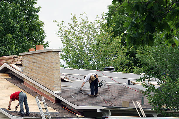 Best Storm Damage Roof Repair  in Theresa, WI