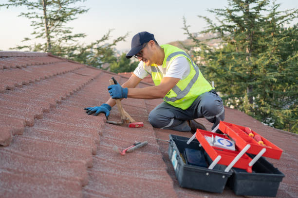 Best Residential Roof Replacement  in Theresa, WI