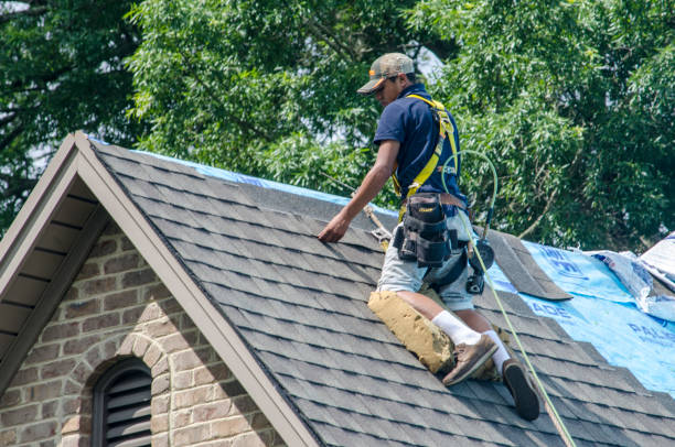 Best Residential Roofing Contractor  in Theresa, WI